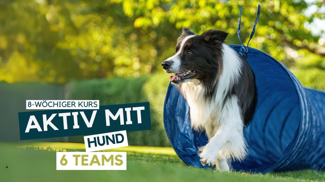Aktiv mit Hund