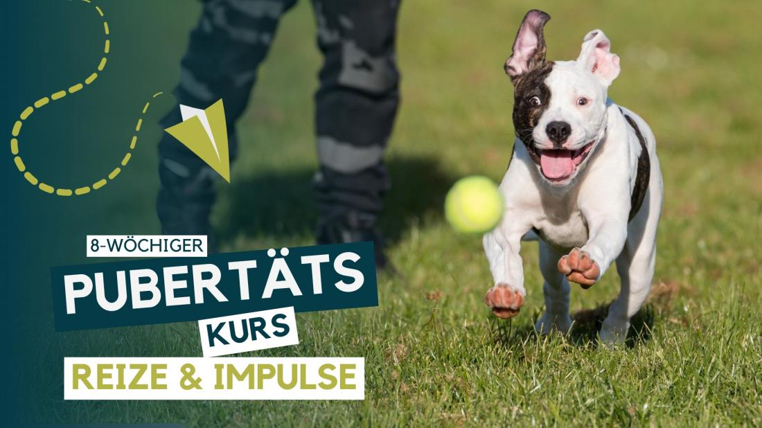 Pubertäts-Kurs