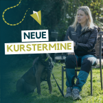 AUFGEPASST - NEUE KURSE AB JUNI 2025 