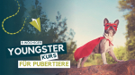 POCKING | 8-wöchiger Youngsters Kurs